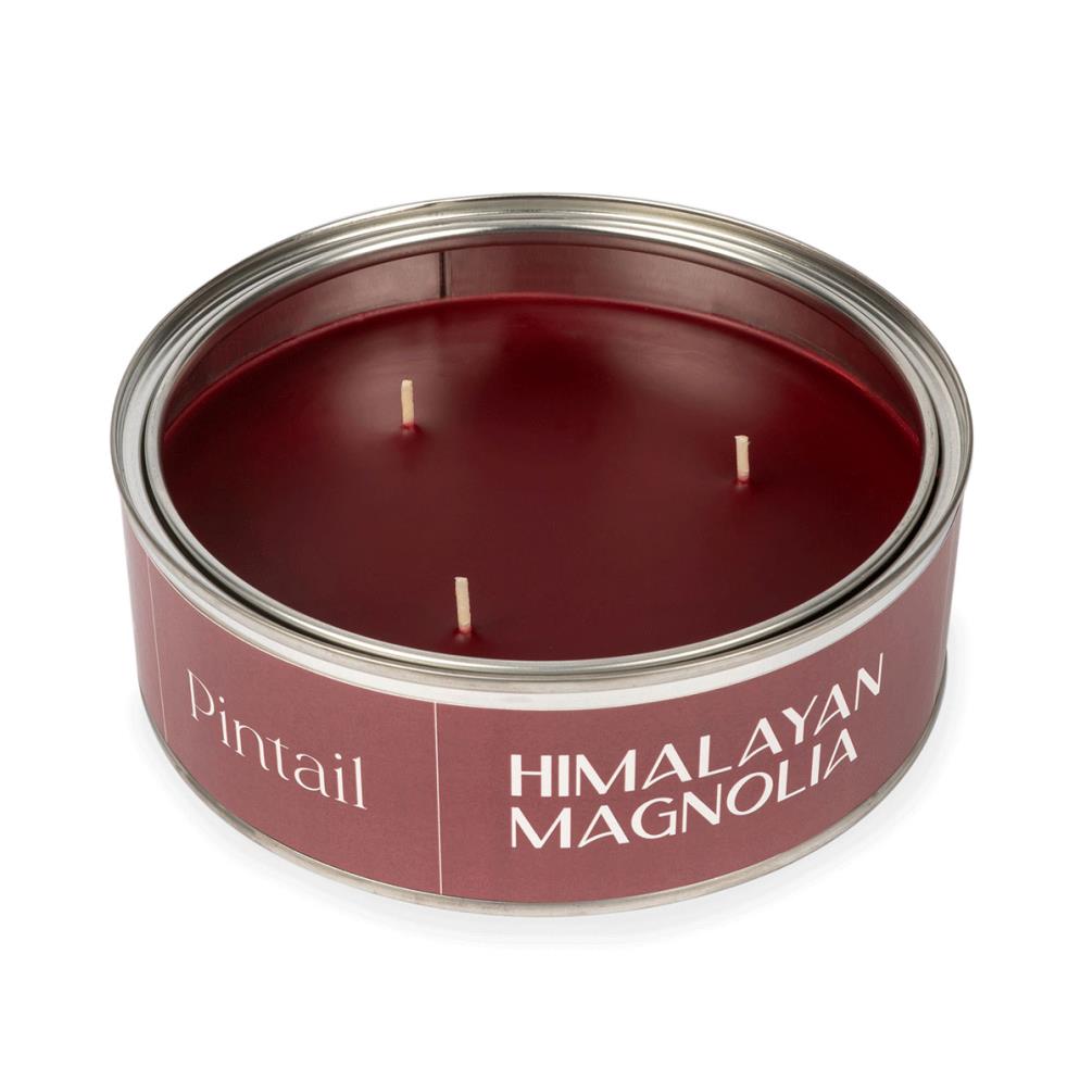 Pintail Candles Himalayan Magnolia Triple Wick Tin Candle Extra Image 2